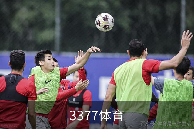 3377体育 公司简介